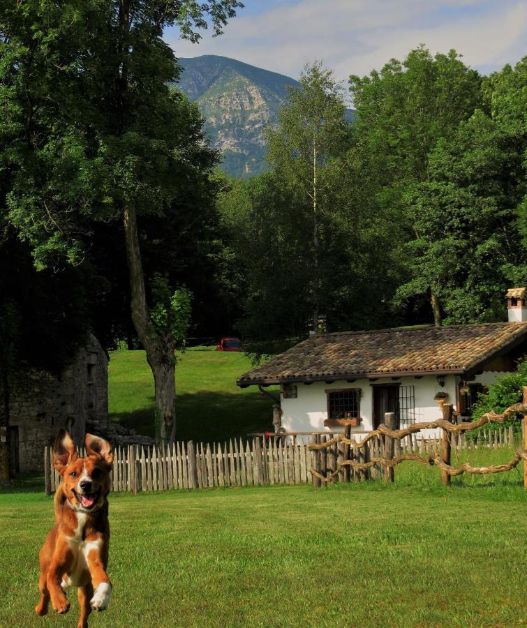 Baita Tana Da L'Ors Villa Forgaria nel Friuli Exterior photo